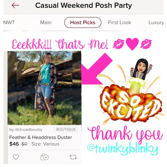 Feather & Headdress Duster - Picture 2 of 7